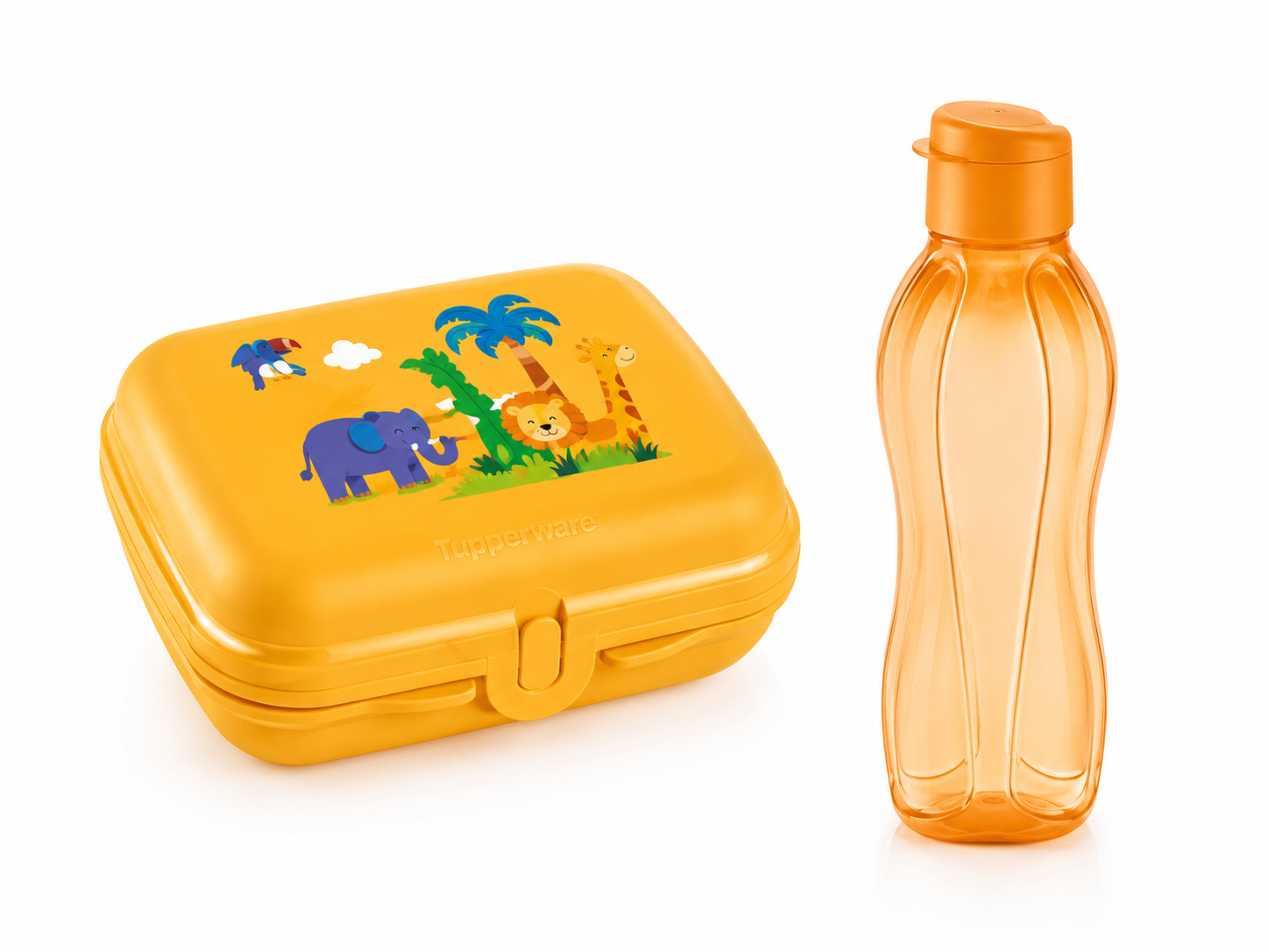 Boite Papillon LEOPARD Orange + Eco Bouteille Click 750ml Orange